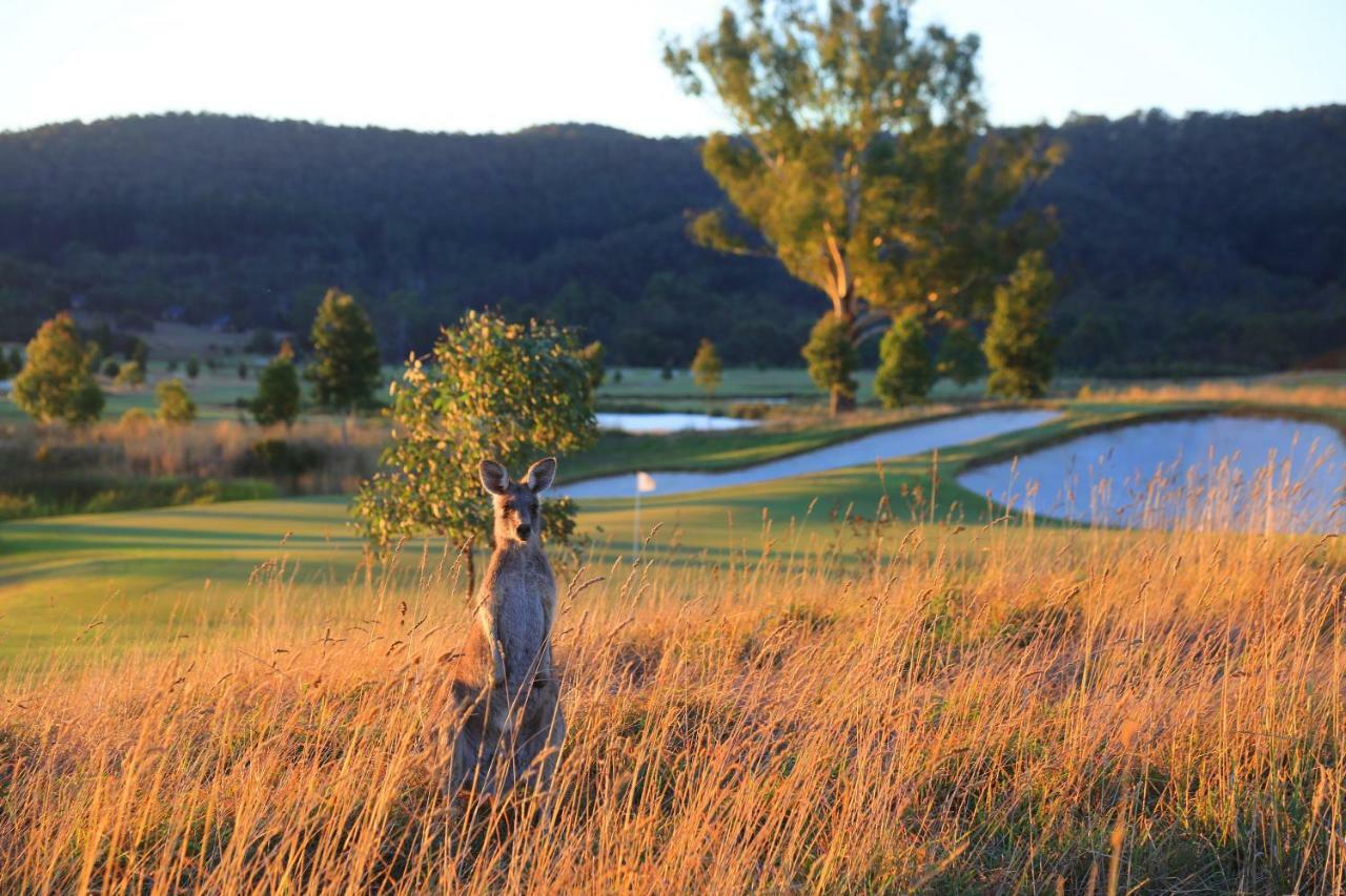 Hotel Chateau Yering Yarra Glen Exterior foto